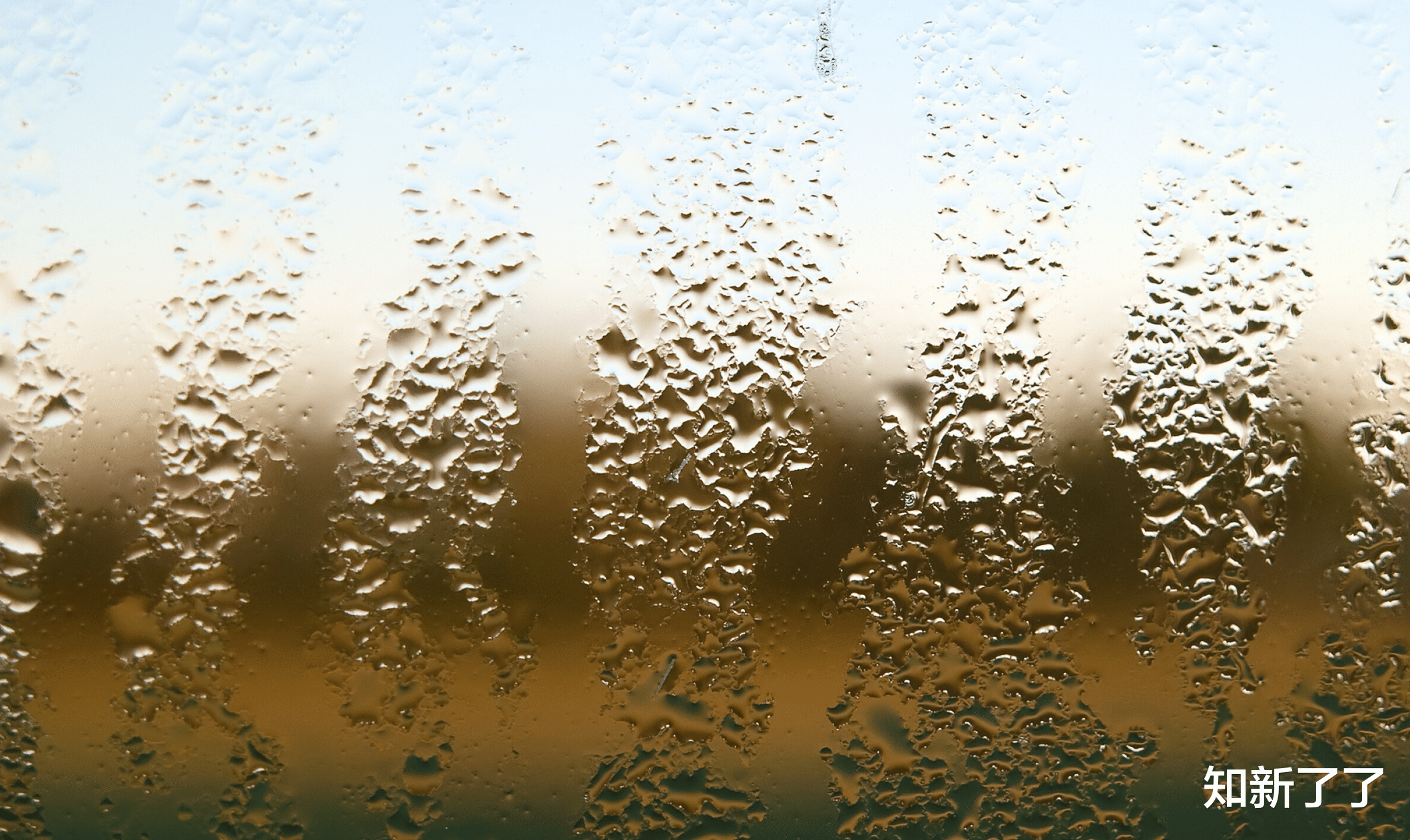 path|一种能“自动充电”的电池，可以利用空气中的水分和湿气发电