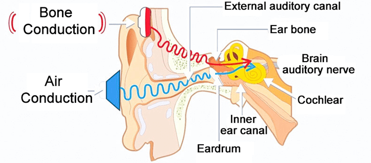 佳能|各种耳机驱动单元,它们到底有啥不同?一文带你了解清楚