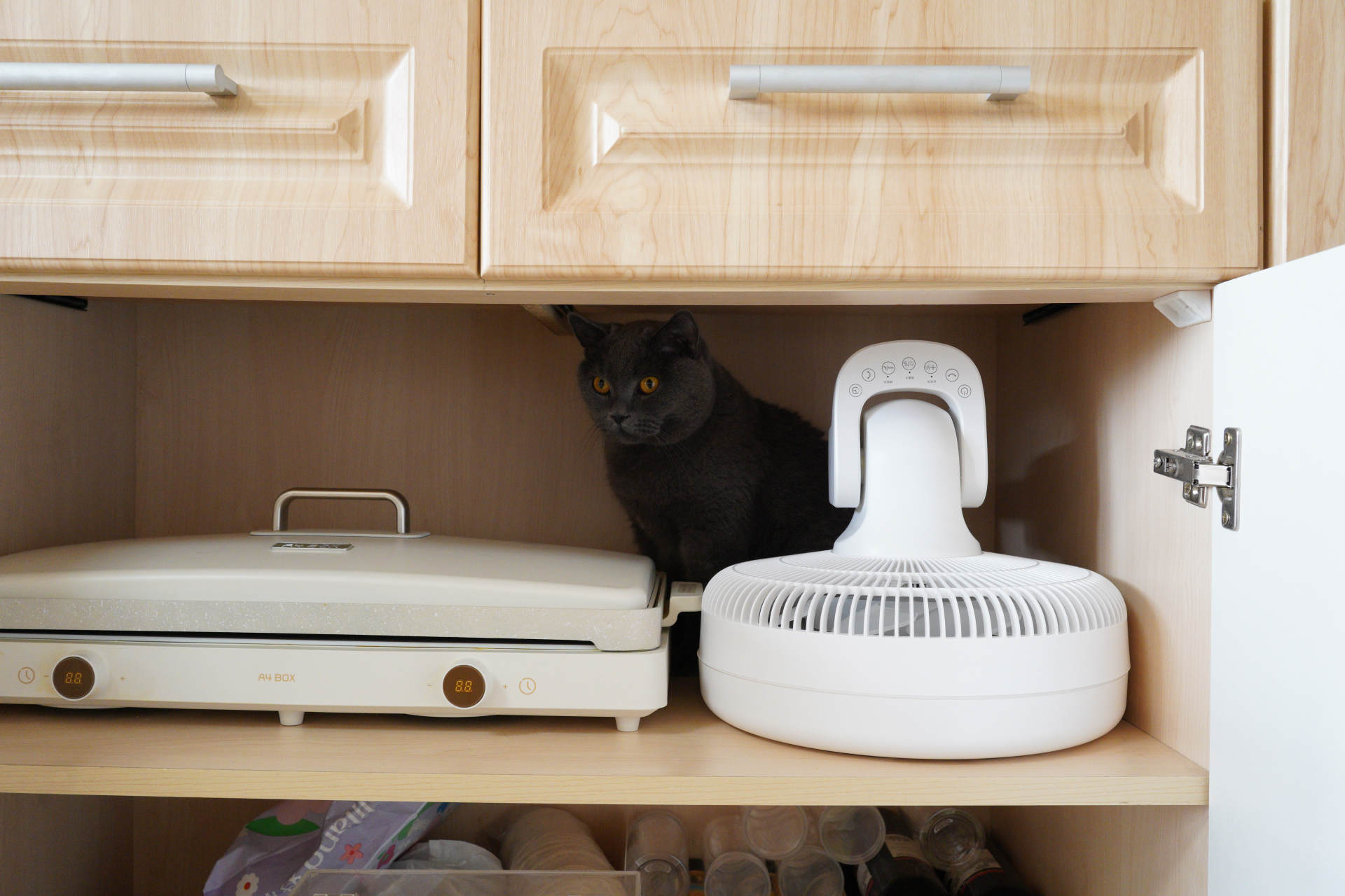 空气净化器|理性剁手！当初“滴血购入”的6件网红小家电，现在看来超值！