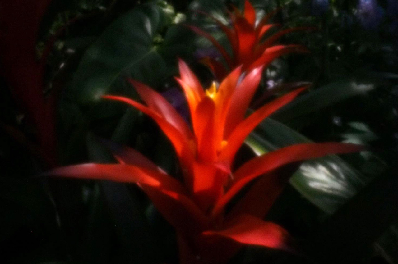 相机|世界上第一款可变光圈针孔镜头为您的现代相机带来复古气息