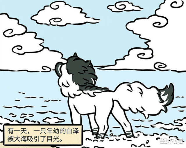 白泽|非人哉:离开仙境,前往人类世界,小孩模样的白泽登场