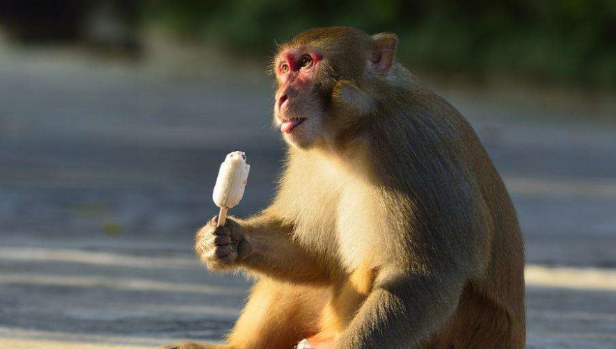 |做电销时,遇见过手机号码被停吗?