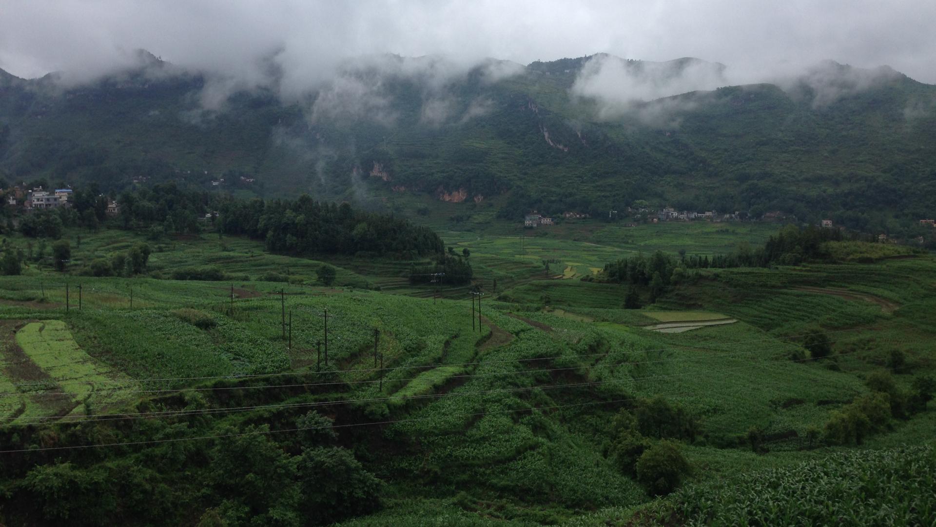 Java|我的转行之路（Java开发从入门到放弃）之三：抉择与反思