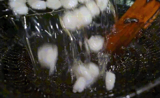 盲盒|“食在广州”这句话,到底是怎么来的