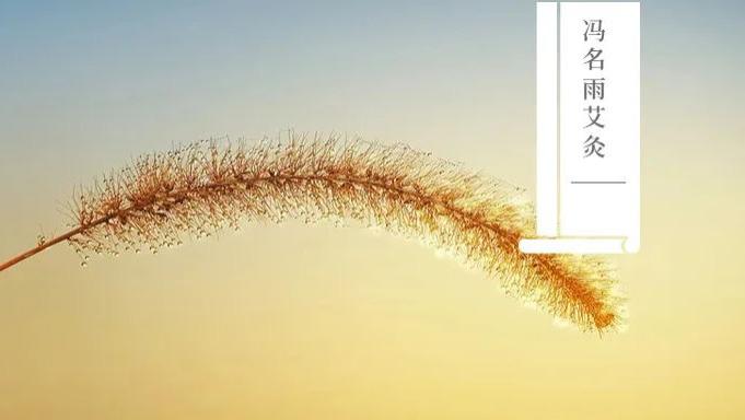 脾胃|脾胃：一直健脾胃，脾胃还是很差？疏肝养心，对症调理才有效