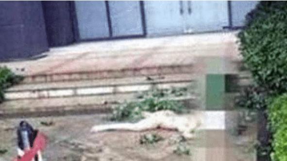 奔跑吧兄弟|参加跑男走红，却不幸身亡，死时身上一丝不挂