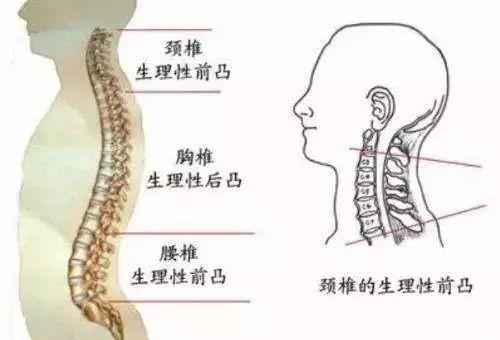 “妈妈,我得用枕头了”,宝宝发出2个信号,暗示需要用枕头了