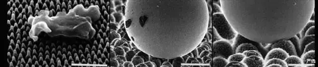 小米科技|中科院耗费5年时间,研发了超级疏水材料,却被小米做到129元