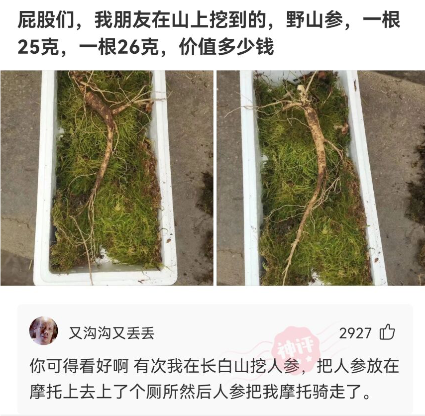 神回复|神回复:路上撞了一个大姐,我应该怎么办啊?神评方案绝了