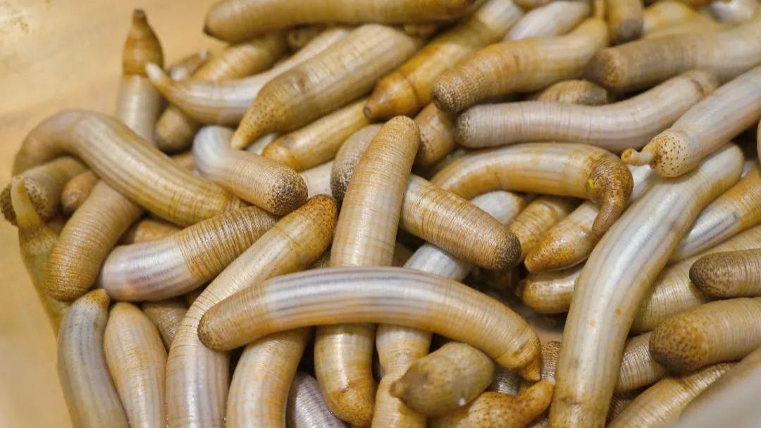 面粉|闽南特色心水宝藏小吃店，烧酒配经典，隐藏的头盘界OG