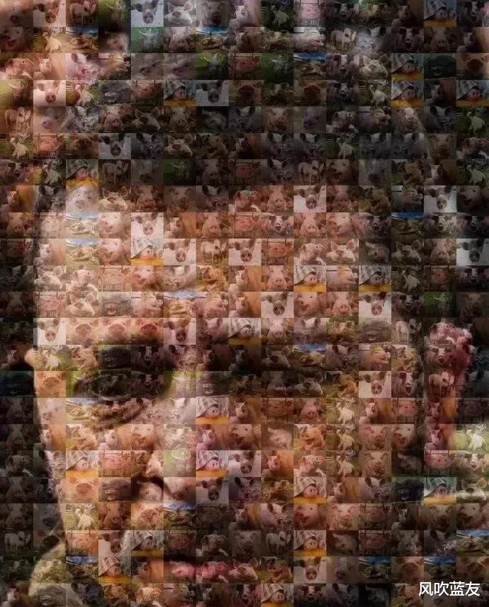 烏軍|俄羅斯人創作的漫畫，調侃馬里烏波爾投降的烏軍