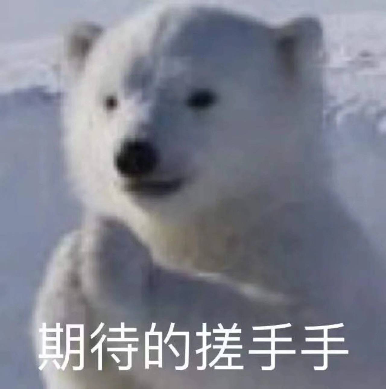 ColorOS|确认了,这才是8月OPPO最猛的新品!