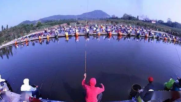 |大炮坑游走于法律边缘，一般人不玩，咋还占据黑坑的半壁江山？