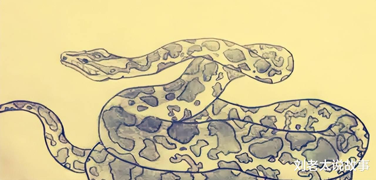 家之梦魇,大蛇吞噬小蛇的寓言与心理解析 家之梦魇,大蛇吞噬小蛇的寓言与心理解析