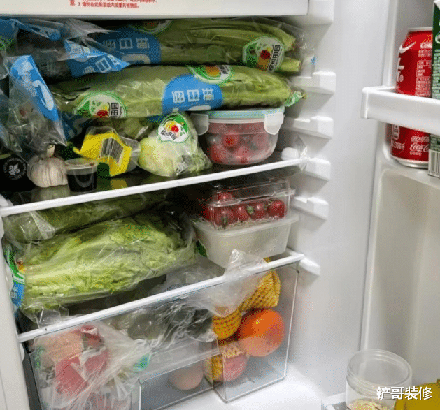 |建议大家：选冰箱时，这4种不要选，不是瞎说，是换过3台的经验