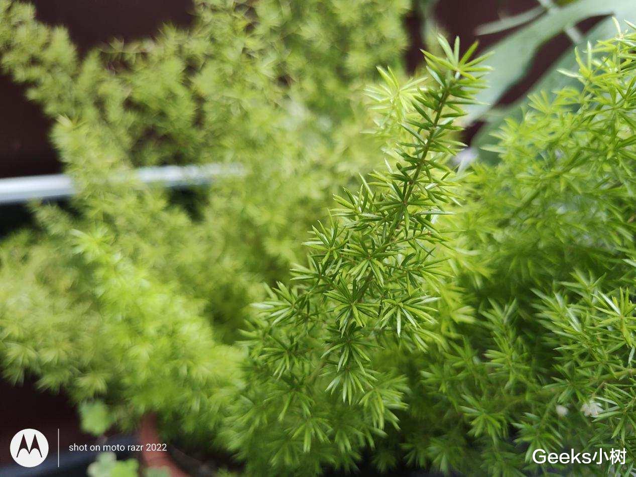 摩托罗拉|moto razr 2022折叠屏手机好用不?体验数周,这几点有必要告诉你