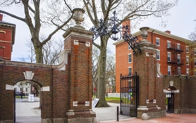 比尔·盖茨|比尔盖茨从哈佛退学创立微软，跟美国计算机界撕破脸皮，底气是啥