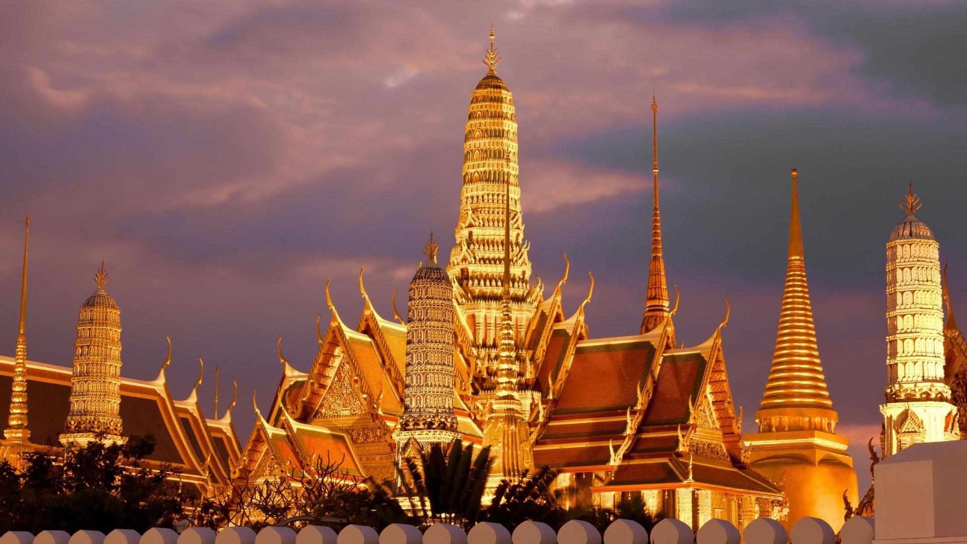 带货|直播网络模式的优势