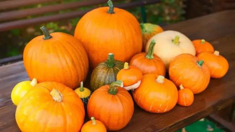 |很多人做糯米南瓜都失败了，做出来的糯米夹生，原因是方法不对