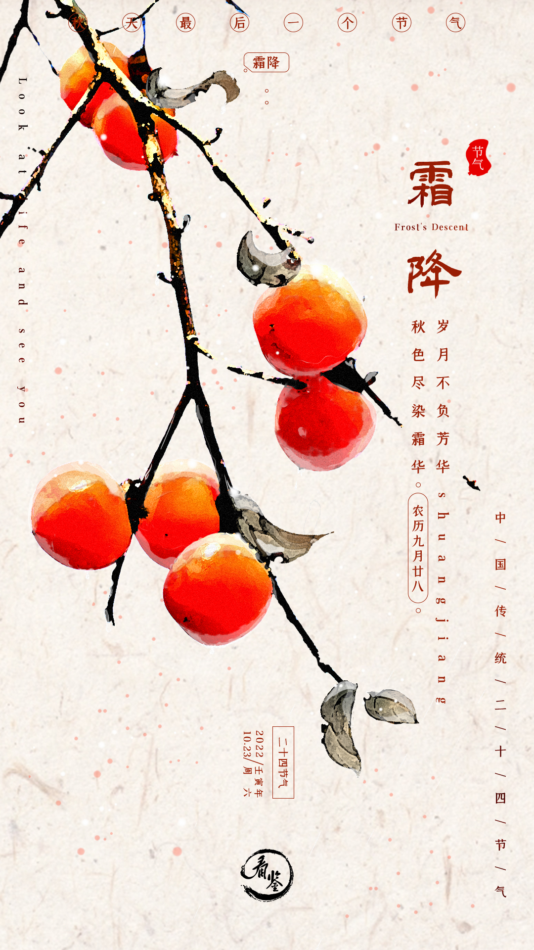 #霜降# 愿你染尽霜华，心中温