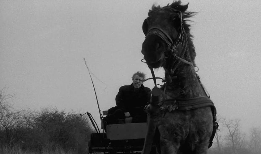 《都灵之马》：一部和尼采有关，但整部片子没有尼采出现的电影。