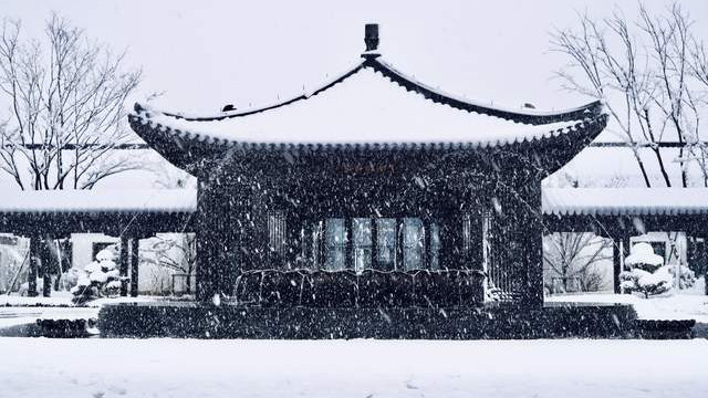 入佛宗道源赏圣洁雪景