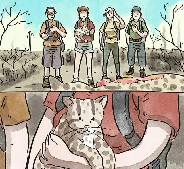 蟒蛇|这2组漫画故事,没有一个字,却能触动我们内心最柔软的地方