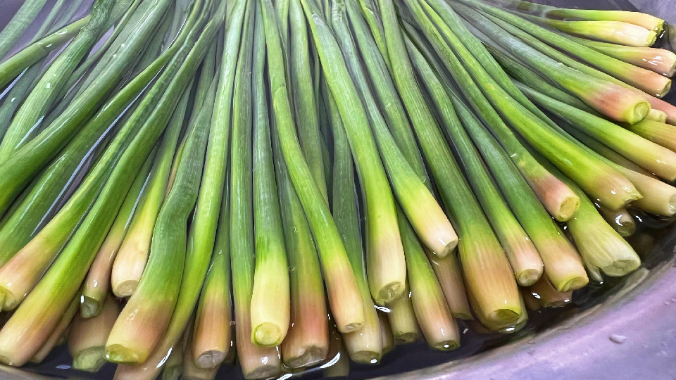 00后|这菜浑身是宝，很多人只吃茎，却把叶当垃圾丢掉，其实叶比茎好吃，不懂吃太可惜