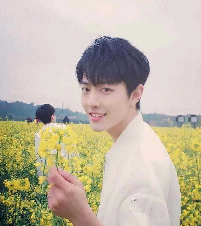 肖战|新晋小生“四美男”：肖战、许凯、徐开骋和宋威龙，谁实至名归？