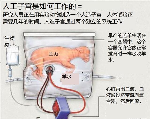 机器人|日本“妻子机器人”上市就秒空？与人造子宫结合或将淘汰女性？别扯了