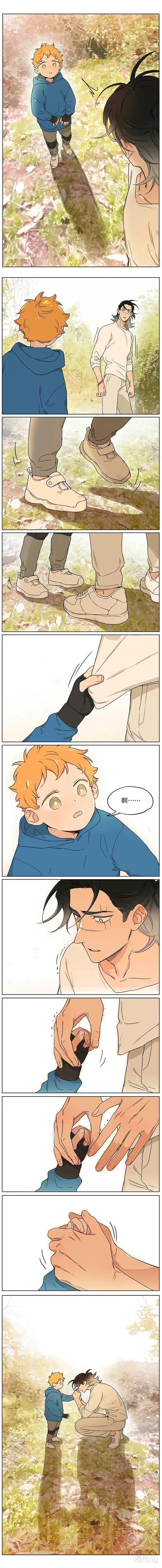 漫画|「漫画」狼王：新生活的开始