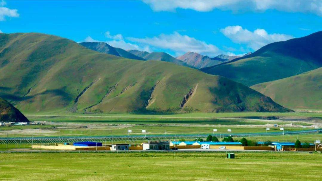 西藏|中国唯一没树的城市，种成一棵奖30万，当地很多人甚至不知道树！