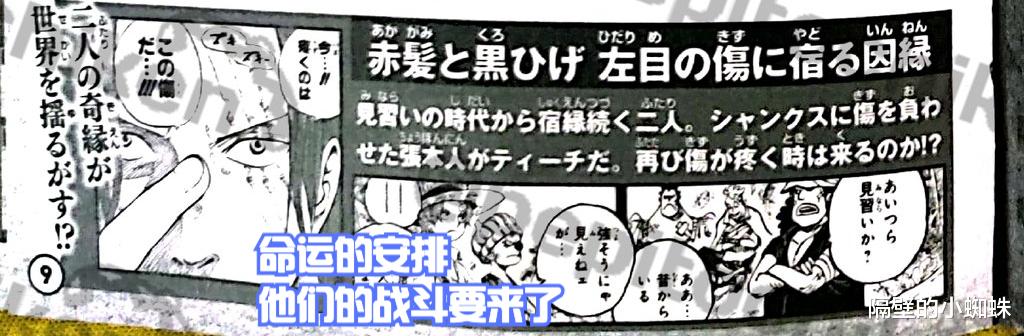 黑胡子|海贼王官方情报：香克斯会败给黑胡子，路飞联合青雉击败他