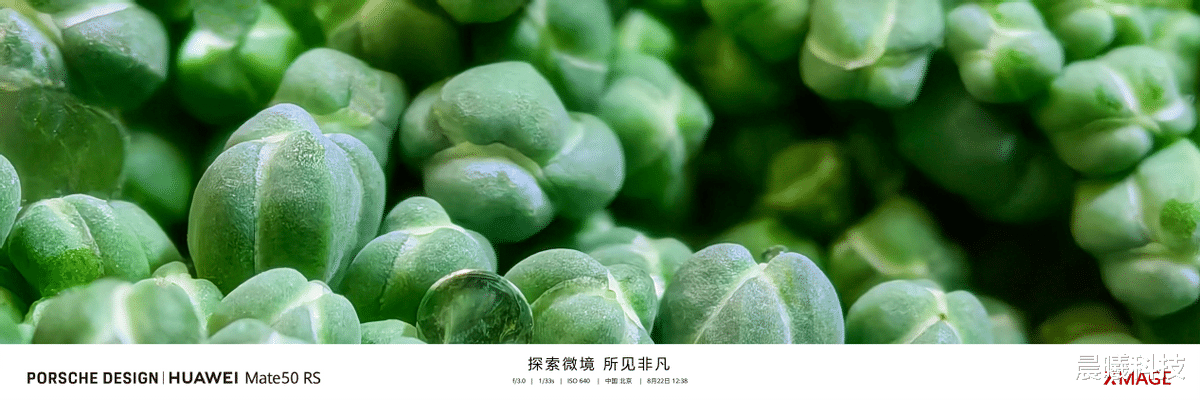 高通骁龙|标配潜望长焦+超光变XMAGE影像,华为Mate50强势归来