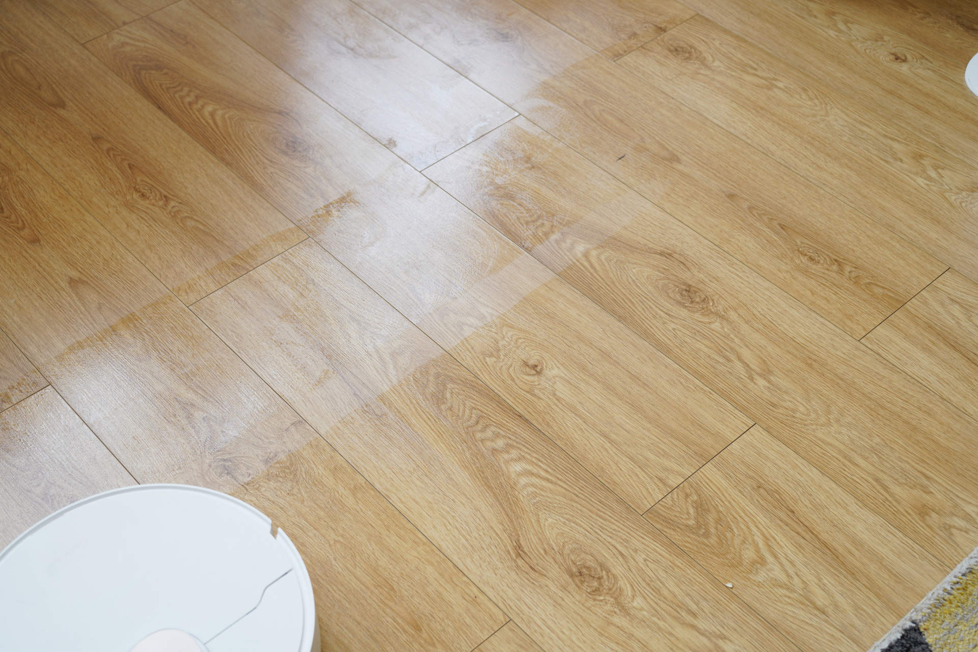 空气净化器|理性剁手！当初“滴血购入”的6件网红小家电，现在看来超值！