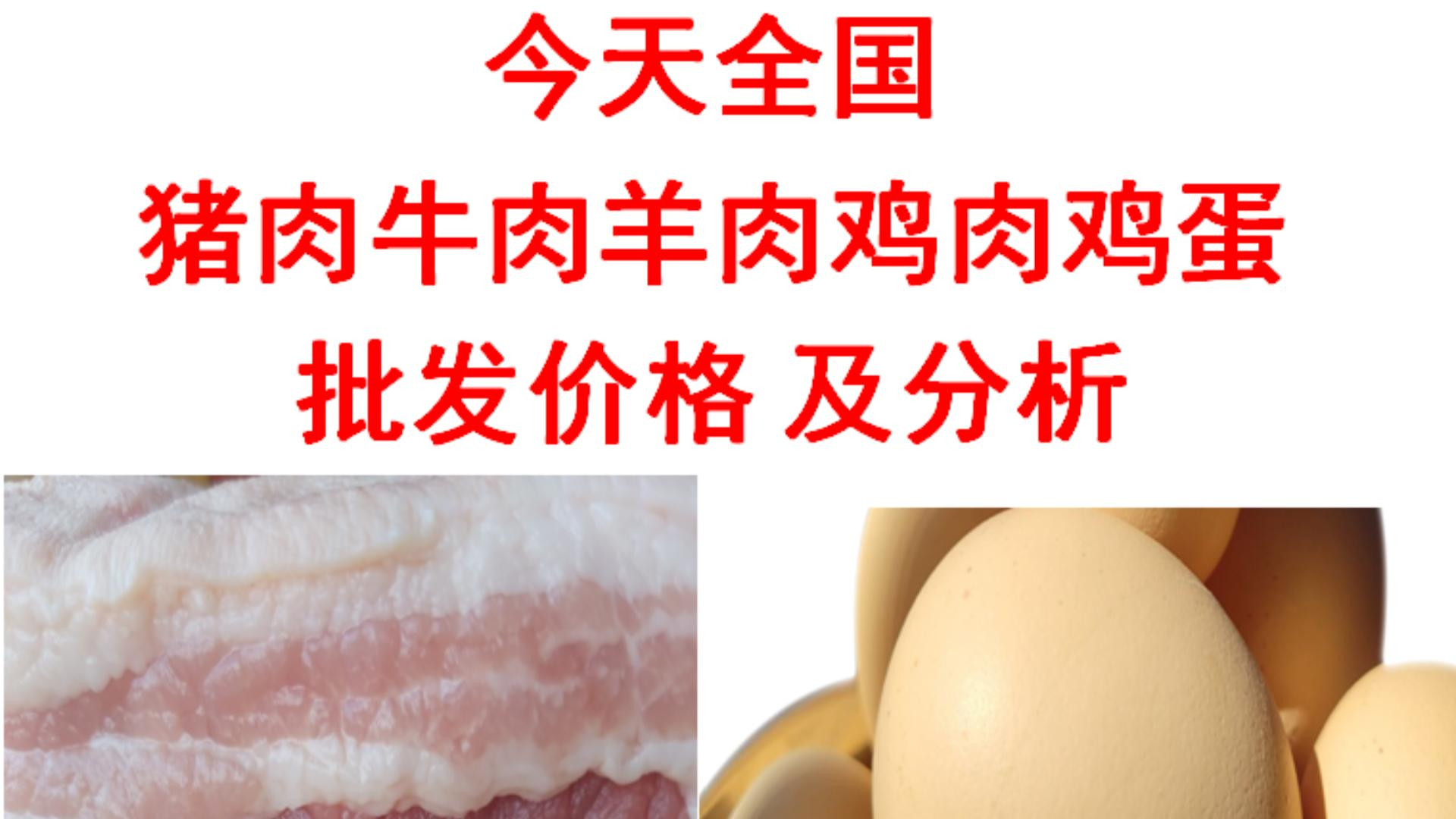 2023年01月31日全国猪肉牛肉羊肉鸡肉鸡蛋批发价格日报及分析