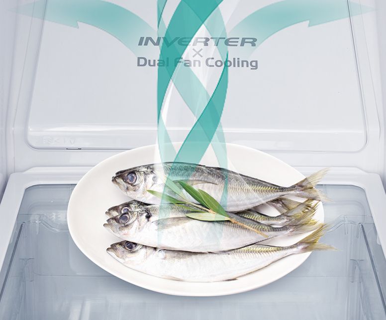 日立|日立R-SBS2100NC冰箱什么样？一份钱买两件货