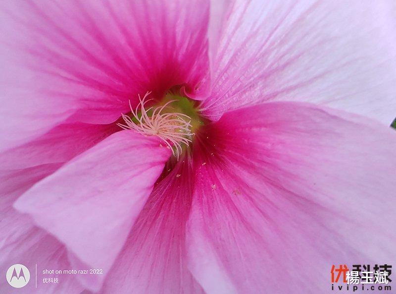 尼康|不妥协的折叠屏主力机 moto razr 2022优科技评测