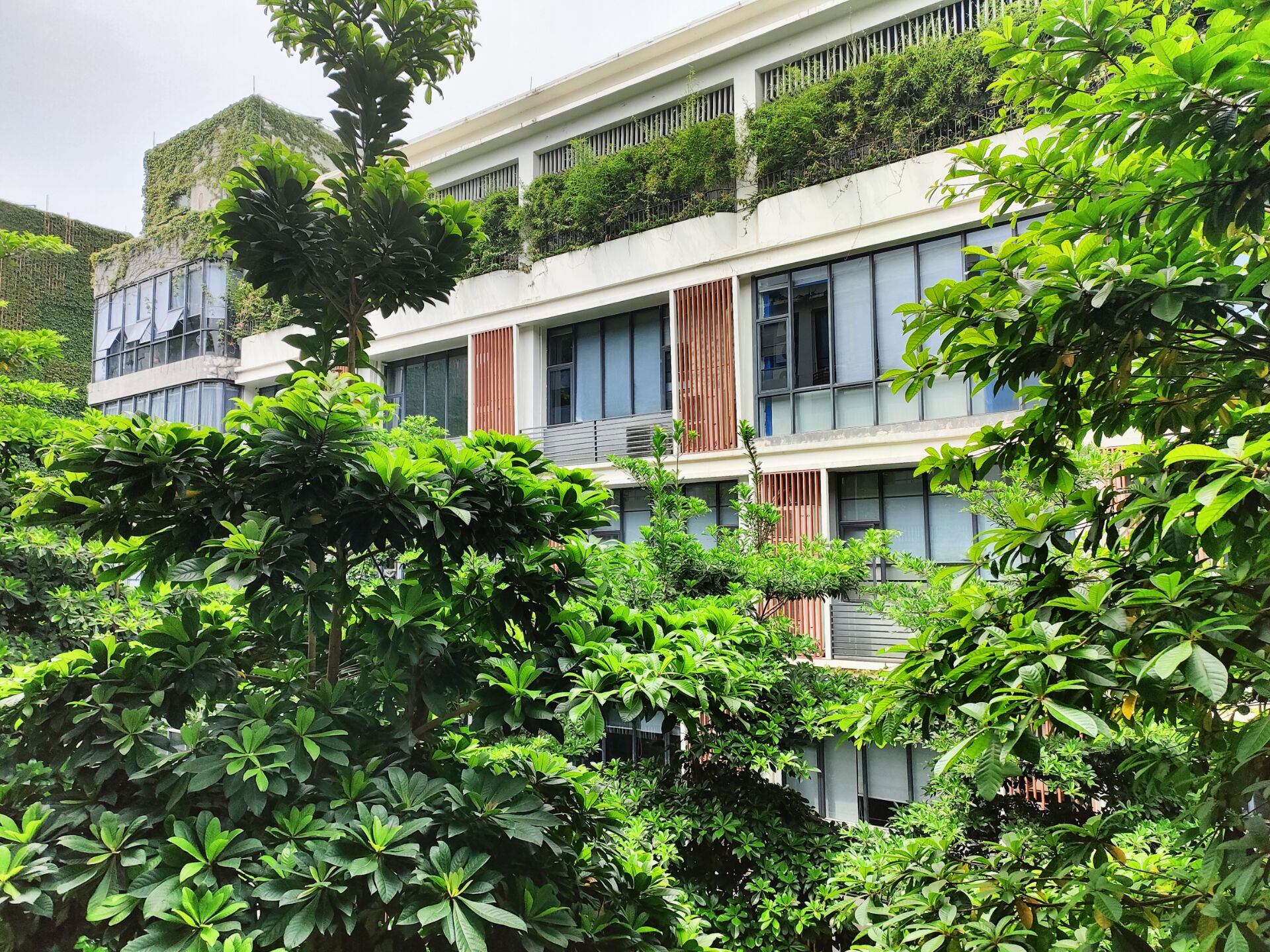 CPU|真我Q5 Pro上手评测：前沿设计、出色性能