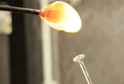 抖音|“阳光玫瑰”大降价，10元一斤 / 刘德华，3.5亿观众