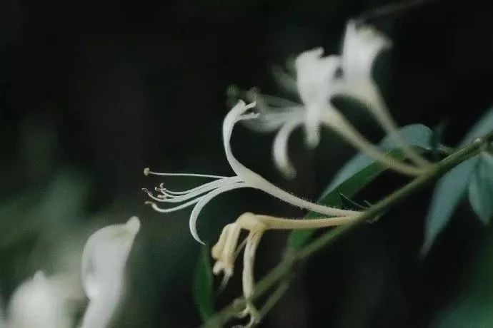 很多人都说我变了，变的冷漠，不