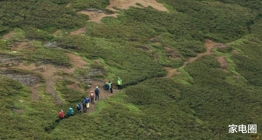 摩托罗拉|今年家电厂商面前有“两座大山”:缺信心和没耐心