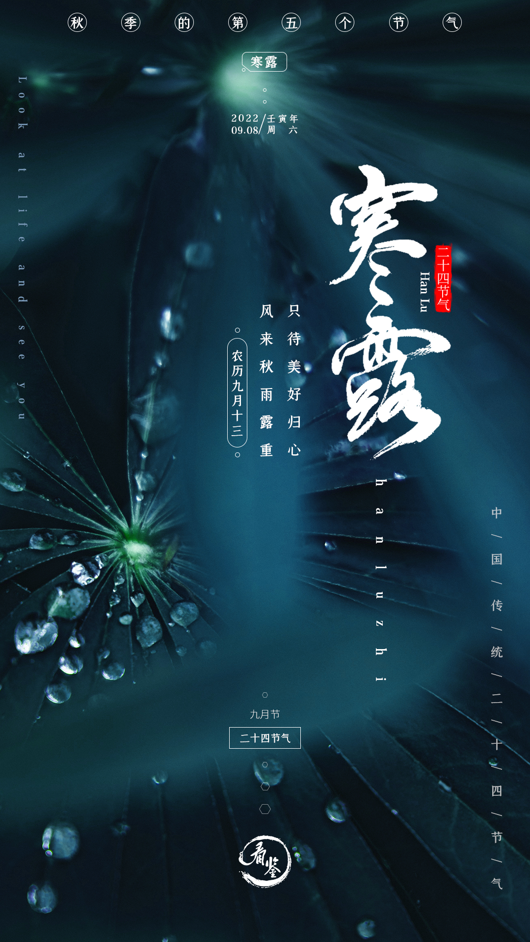 #今天寒露# 秋风萧萧，露水盈