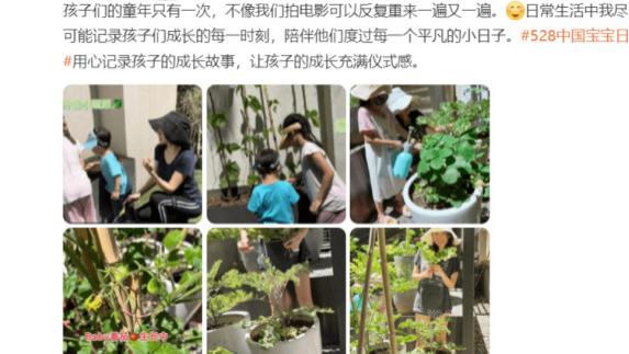 江一燕|章子怡晒居家带娃照，亲自在豪宅院内菜园种菜，菜园大到似公园