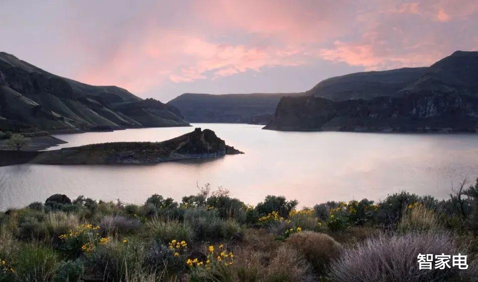 |小天才平板涉黄涉暴, 让家长愤怒令市场监管难堪