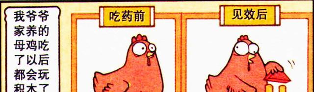 阿星|考试后,高茜预定旅游,阿星预定红烧肉,奋豆:我预定一块坟地!