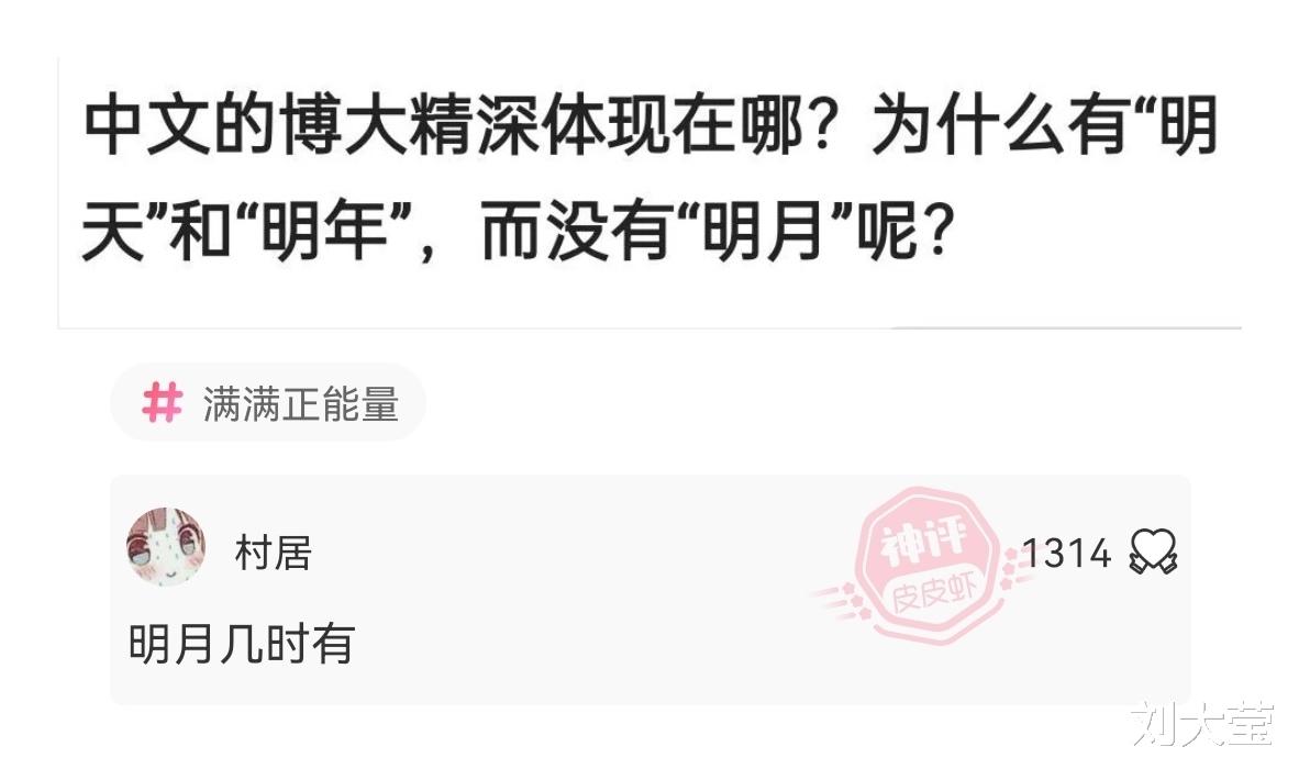 神回复|神回复:目前看,《海贼王》是否大概率烂尾了?