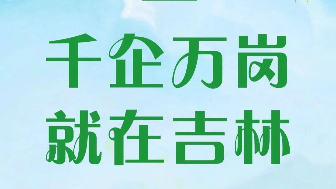 大逃杀|长春找工作的快看！一大批公司招人