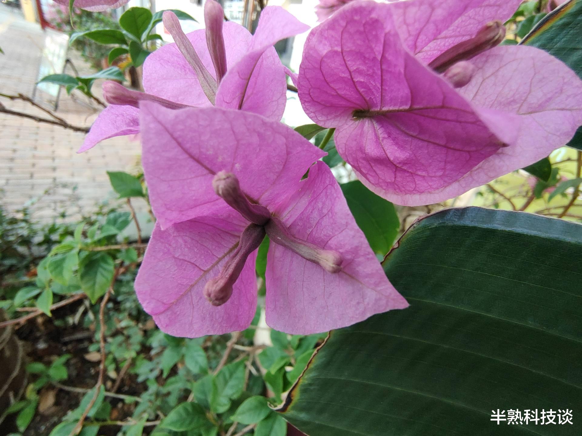 乐视|2000元买旗舰?moto S30 Pro评测:它做了小米如今不敢做的事