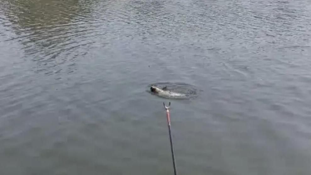 大爷|收费一百一小时的水库，两个小时老板就反悔了